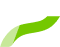 Automa